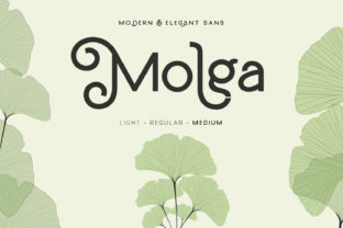 How Molga Font Elevates Small Business Branding