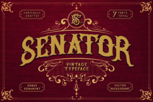 Senator: A Vintage Display Font for Web Design